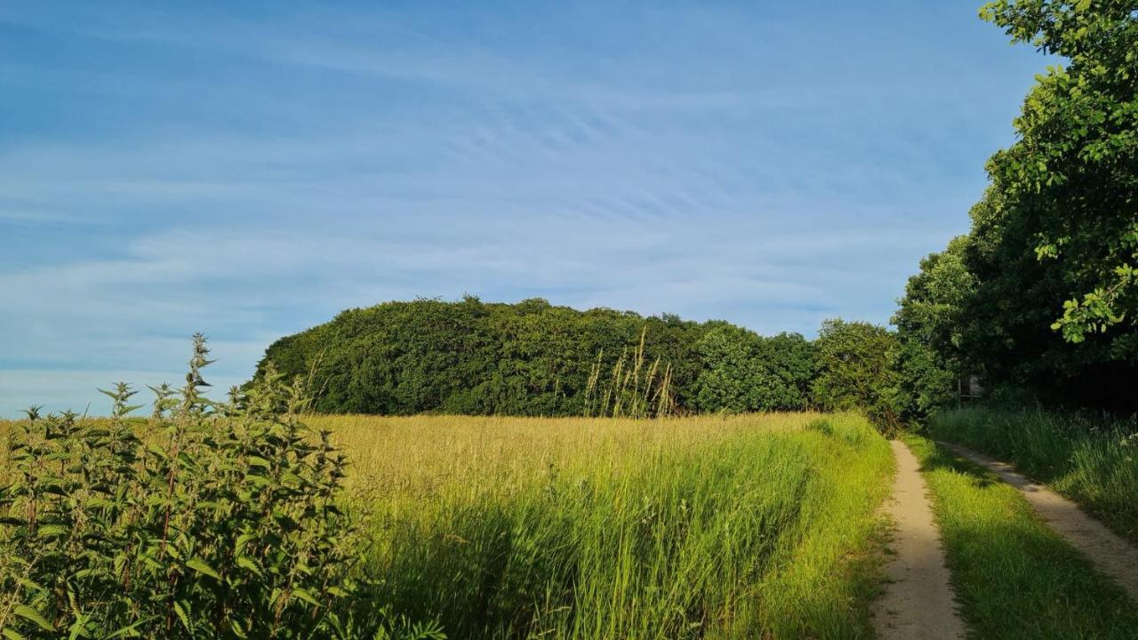 4 Sterne-Haus Am See Waren  Buitenkant foto